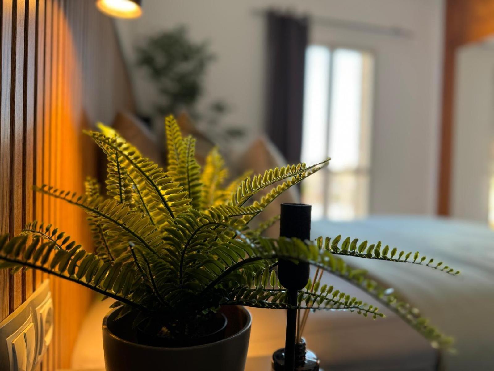 Green Oasis Paradise San Bartolomé 외부 사진