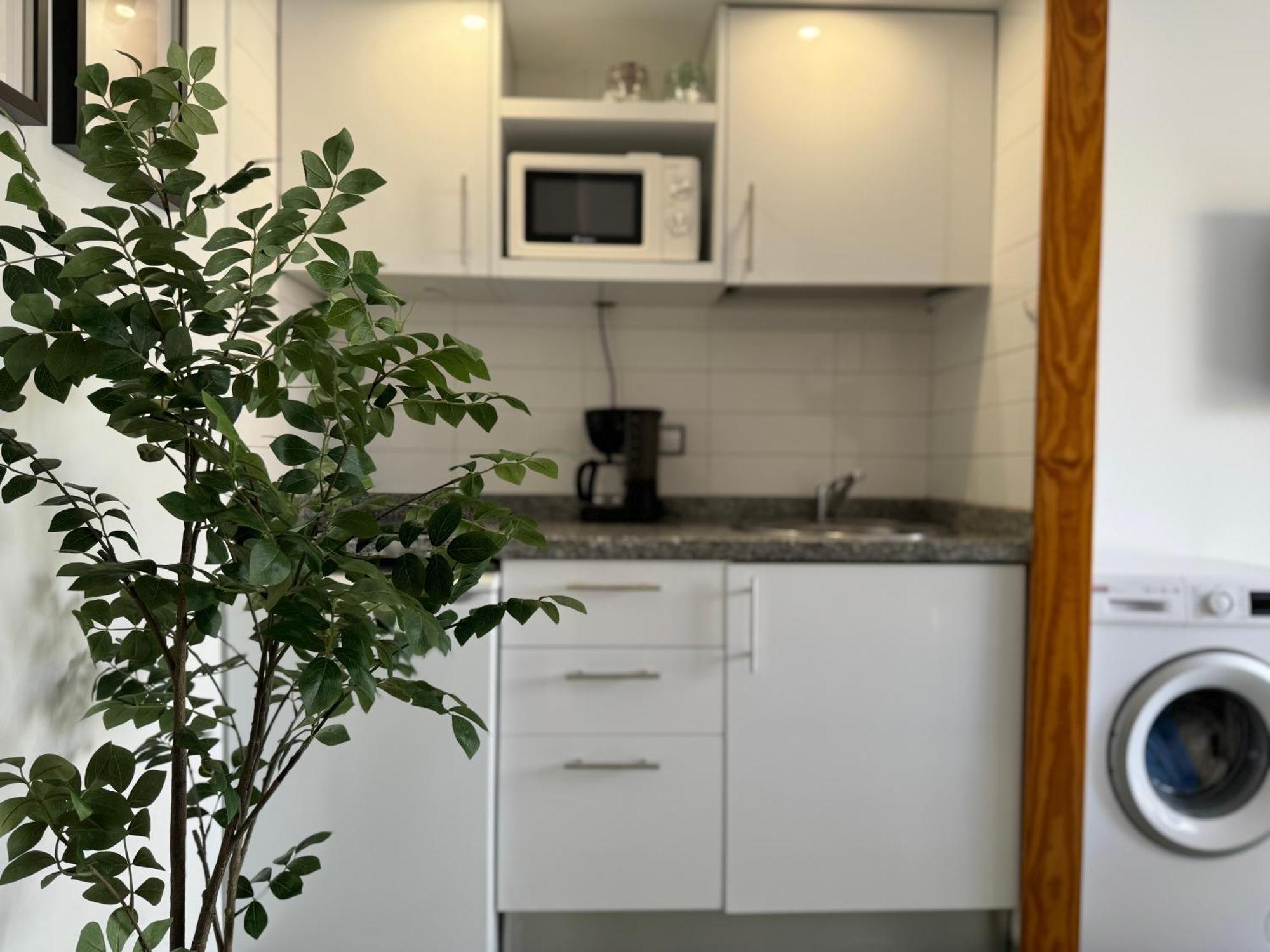 Green Oasis Paradise San Bartolomé 외부 사진